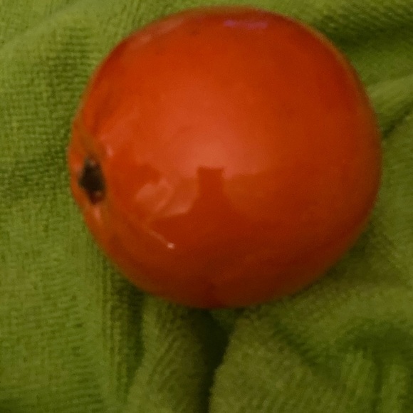 Glass fruit/ wax - Picture 6 of 9